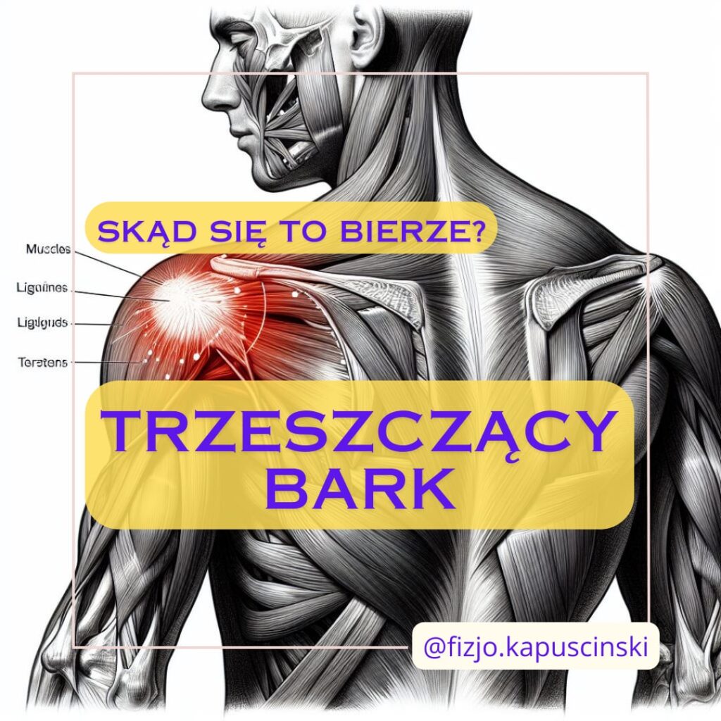 fizjoterapia Kapuściński, fizjoterapia Oświęcim, rehabilitacja Oświęcim, rehabilitacja Brzeszcze